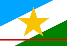 logotipo_estado/roraima.jpg